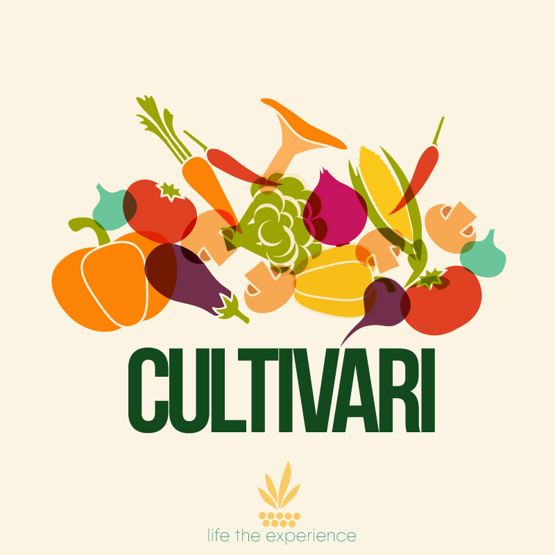 Imatge principal del projecte Cultivari