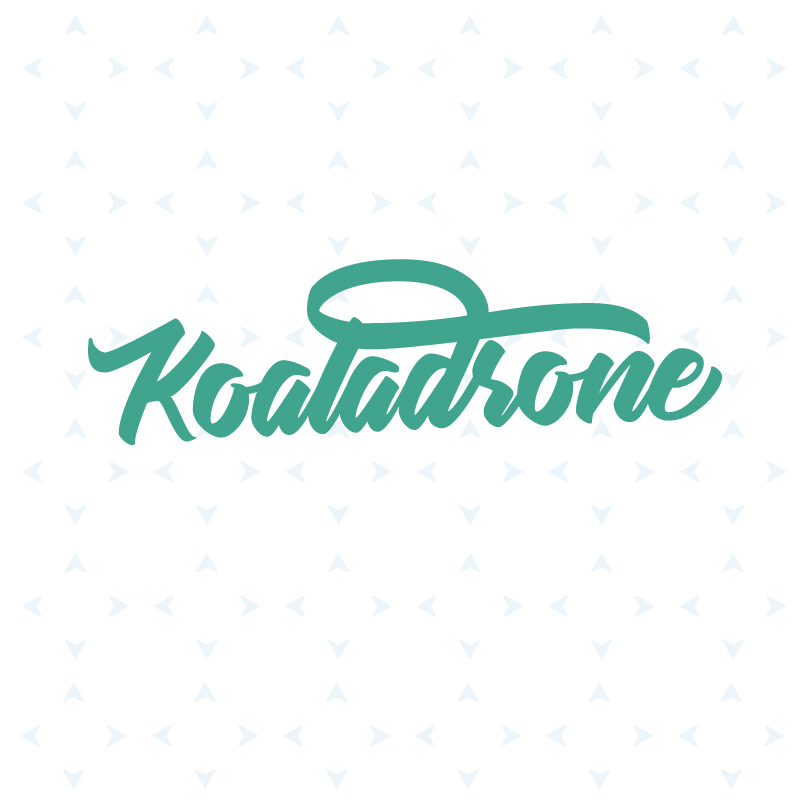 principal del projecte Koaladrone