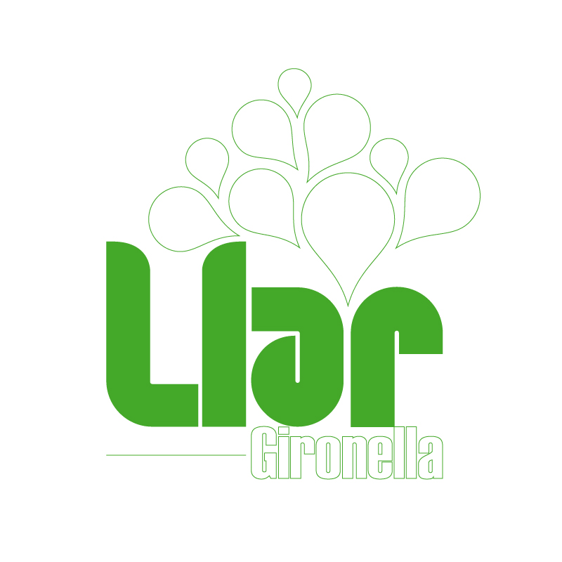 principal del projecte Llar Gironella